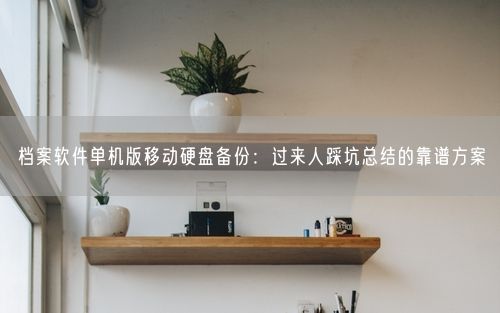 档案软件单机版移动硬盘备份：过来人踩坑总结的靠谱方案