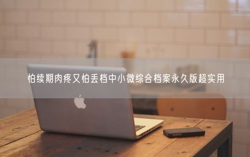 怕续期肉疼又怕丢档中小微综合档案永久版超实用