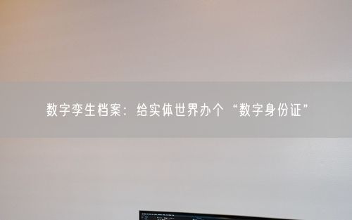 数字孪生档案：给实体世界办个“数字身份证”