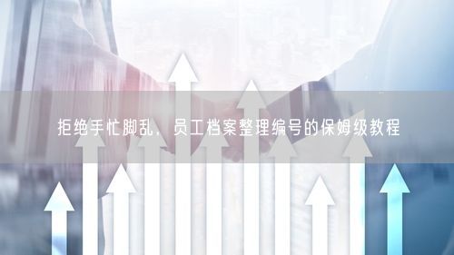拒绝手忙脚乱，员工档案整理编号的保姆级教程