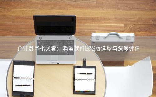 企业数字化必看：档案软件B/S版选型与深度评估