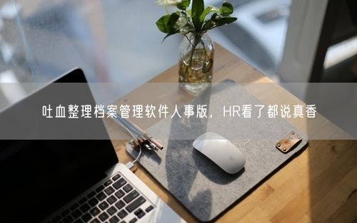 吐血整理档案管理软件人事版，HR看了都说真香