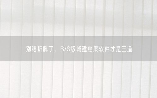 别瞎折腾了，B/S版城建档案软件才是王道