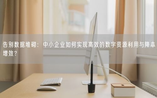 告别数据堆砌：中小企业如何实现高效的数字资源利用与降本增效？