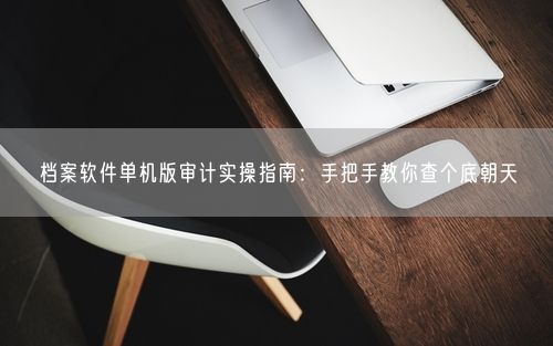 档案软件单机版审计实操指南：手把手教你查个底朝天