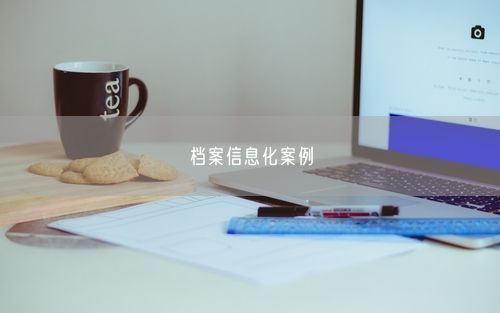 档案信息化案例