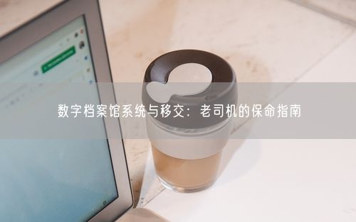 数字档案馆系统与移交：老司机的保命指南