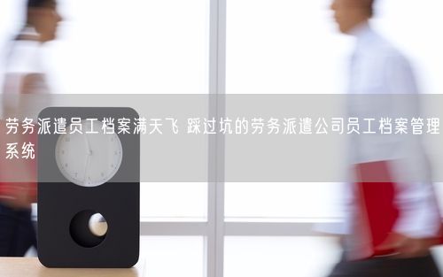 劳务派遣员工档案满天飞 踩过坑的劳务派遣公司员工档案管理系统