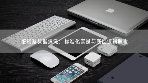 脏档案数据清洗：标准化实操与底层逻辑解析