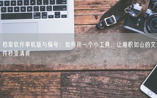档案软件单机版与编号：如何用一个小工具，让堆积如山的文件秒变清爽