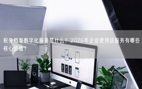 税务档案数字化服务是什么？2026年企业使用该服务有哪些核心价值？