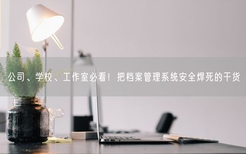 公司、学校、工作室必看！把档案管理系统安全焊死的干货