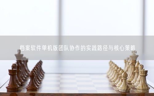 档案软件单机版团队协作的实践路径与核心策略