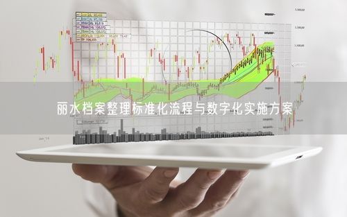 丽水档案整理标准化流程与数字化实施方案
