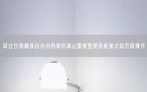 踩过甘南藏族自治州档案的满山雷堆整理搭帐篷式规范稳操作