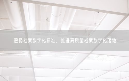 遵循档案数字化标准，推进高质量档案数字化落地
