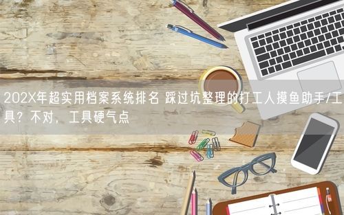 202X年超实用档案系统排名 踩过坑整理的打工人摸鱼助手/工具？不对，工具硬气点