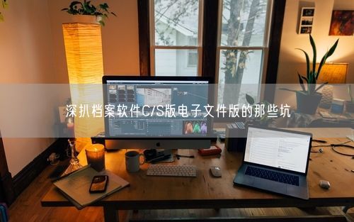 深扒档案软件C/S版电子文件版的那些坑