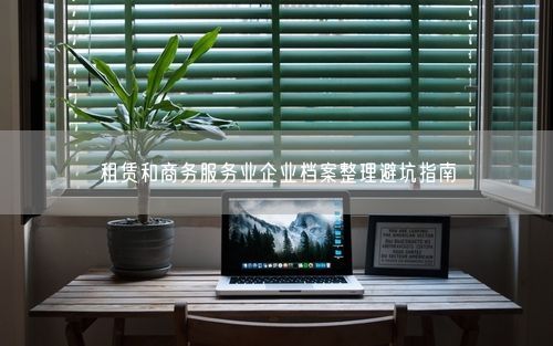 租赁和商务服务业企业档案整理避坑指南