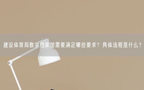 建设体育局数字档案馆需要满足哪些要求？具体流程是什么？