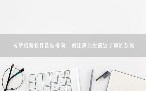 拉萨档案软件选型指南：别让高原反应毁了你的数据