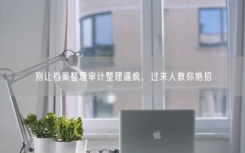 别让档案整理审计整理逼疯，过来人教你绝招