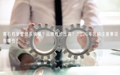 黄石档案管理系统哪个品牌性价比高？2026年选购注意事项有哪些？