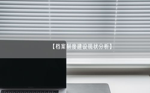 【档案制度建设现状分析】