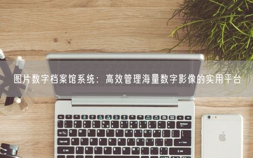 图片数字档案馆系统：高效管理海量数字影像的实用平台