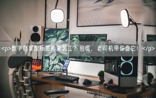 <p>数字档案馆标签检索罢工？别慌，老司机带你盘它！</p>