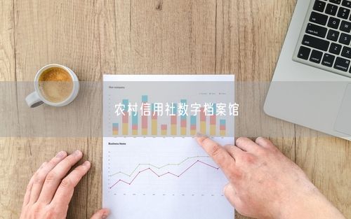 农村信用社数字档案馆