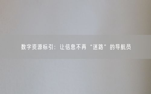 数字资源标引：让信息不再“迷路”的导航员