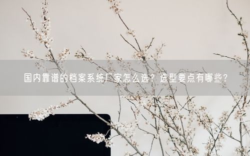 国内靠谱的档案系统厂家怎么选？选型要点有哪些？