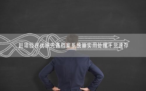 赶项目评优评先遇档案系统崩实用处理干货速存