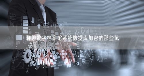 聊聊数字档案馆系统数据库加密的那些坑