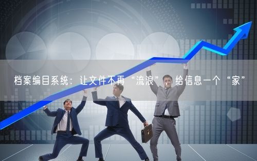档案编目系统：让文件不再“流浪”，给信息一个“家”