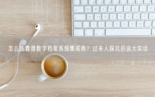 怎么选靠谱数字档案系统集成商？过来人踩坑后说大实话