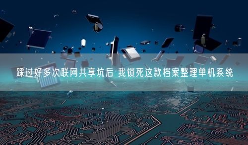 踩过好多次联网共享坑后 我锁死这款档案整理单机系统