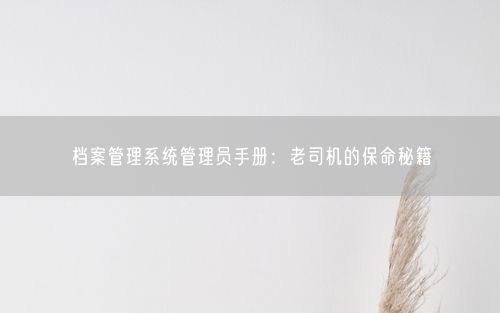 档案管理系统管理员手册：老司机的保命秘籍