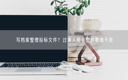 写档案整理投标文件？过来人给你整的靠谱干货