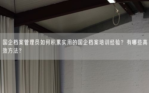 国企档案管理员如何积累实用的国企档案培训经验？有哪些高效方法？