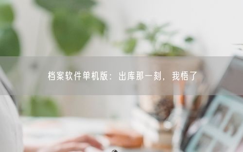 档案软件单机版：出库那一刻，我悟了
