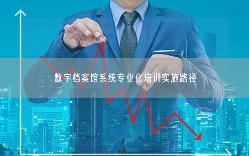 数字档案馆系统专业化培训实施路径