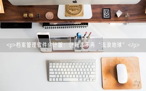 <p>档案管理软件会计版：让账本不再“流浪地球”</p>