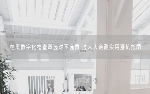 档案数字化检查章选对不选贵 过来人亲测实用避坑指南