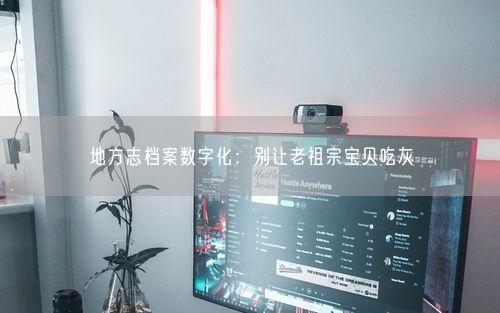 地方志档案数字化：别让老祖宗宝贝吃灰