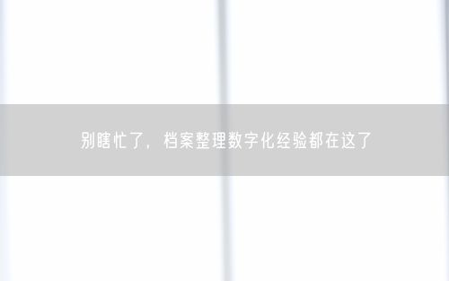 别瞎忙了，档案整理数字化经验都在这了