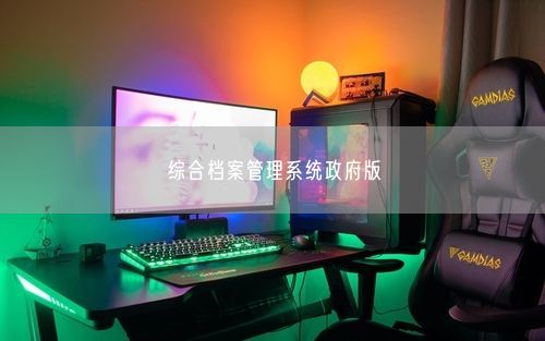 综合档案管理系统政府版