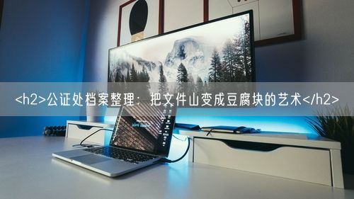 <h2>公证处档案整理：把文件山变成豆腐块的艺术</h2>