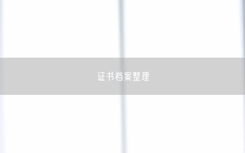 证书档案整理